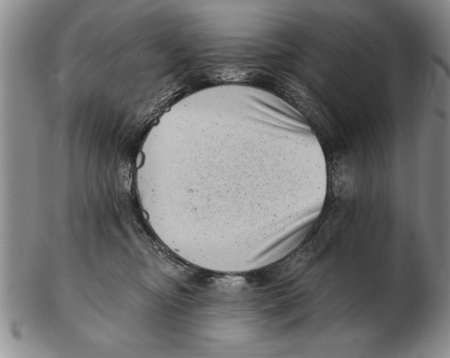 X0000102350374200808221659