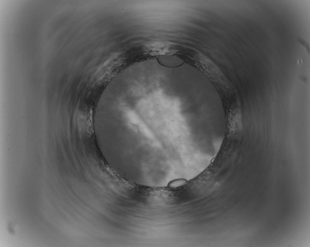 X0000102350376200808221659