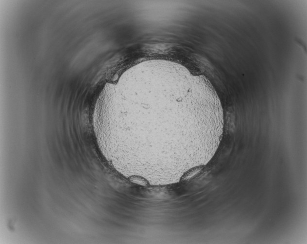 X0000102350377200808221659