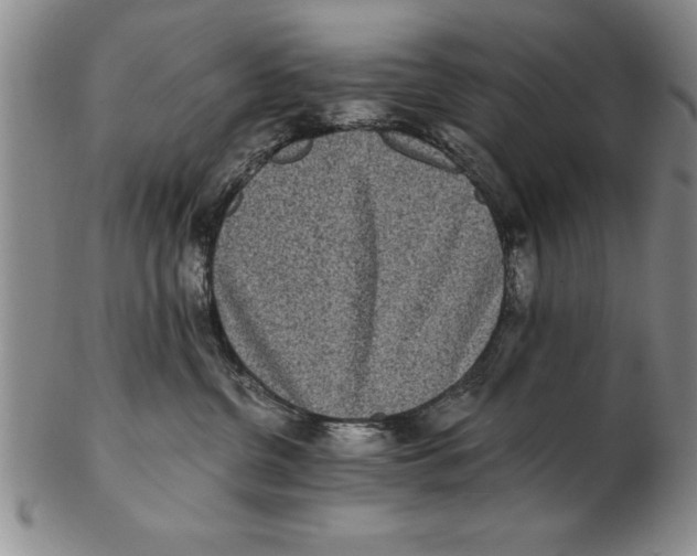 X0000102350380200808221659