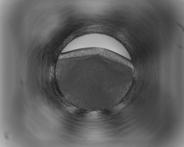 X0000102350382200808221659