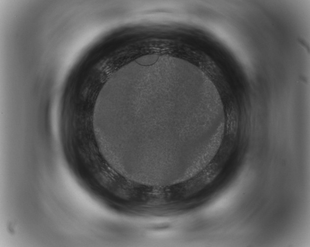 X0000102350383200808221659