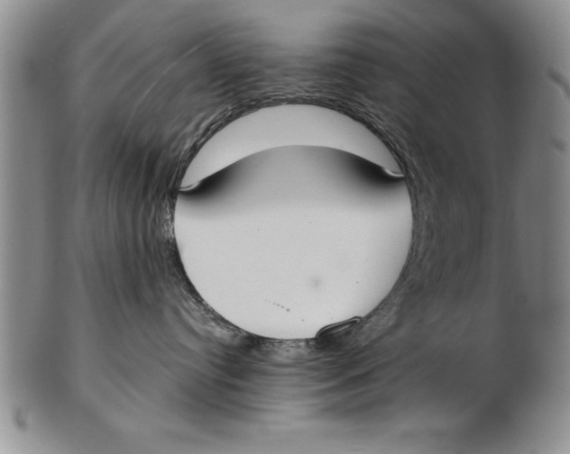 X0000102350384200808221659