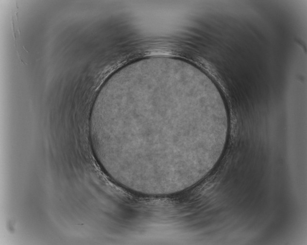 X0000102350385200808221658