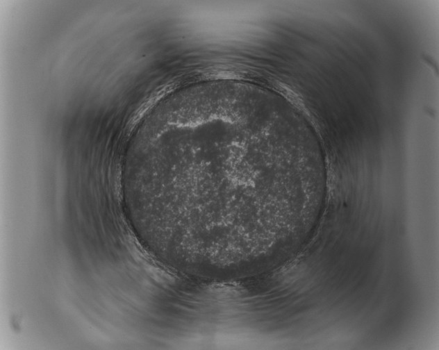 X0000102350386200808221658