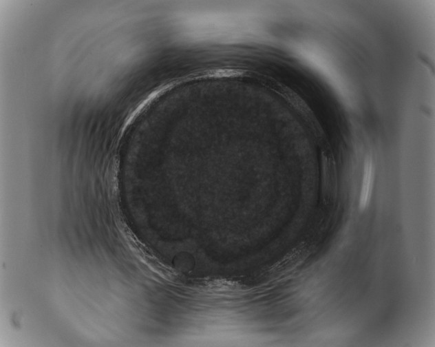 X0000102350387200808221658