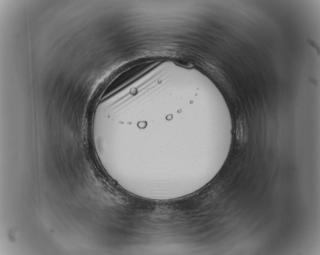 X0000102350388200808221658