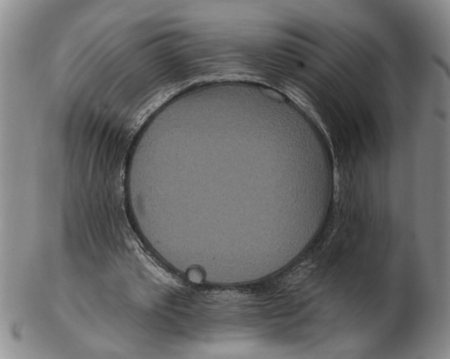 X0000102350389200808221658