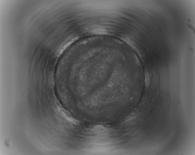 X0000102350390200808221658