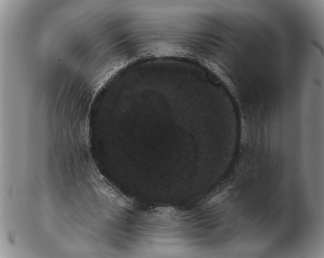X0000102350391200808221658