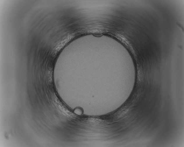 X0000102350393200808221658
