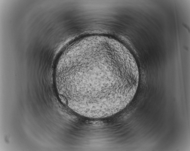 X0000102350395200808221658