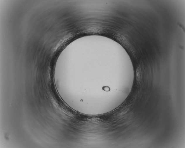 X0000102350396200808221658