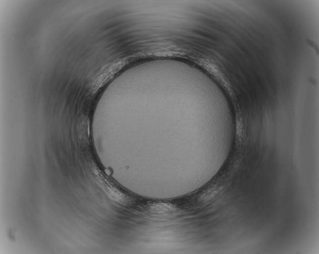 X0000102350397200808221658