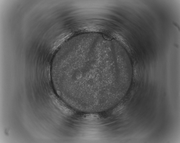 X0000102350398200808221658