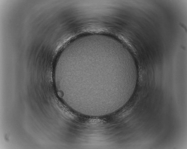 X0000102350399200808221658