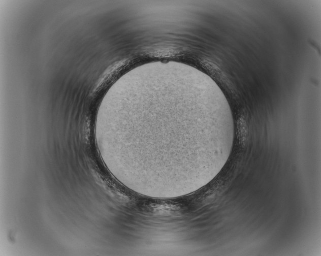 X0000102350400200808221658