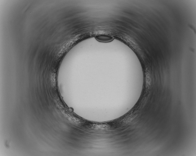 X0000102350401200808221658