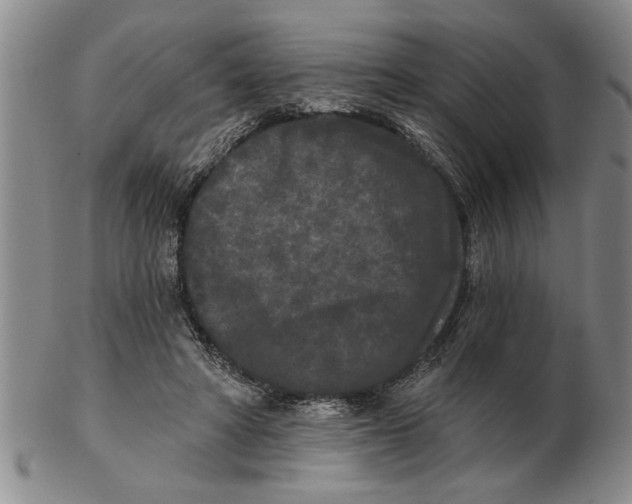 X0000102350402200808221658