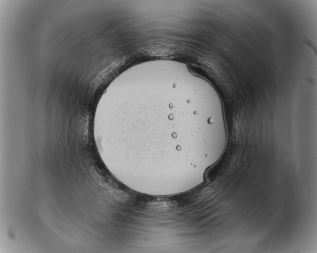 X0000102350404200808221658