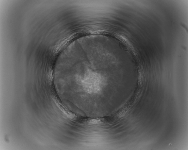 X0000102350405200808221658