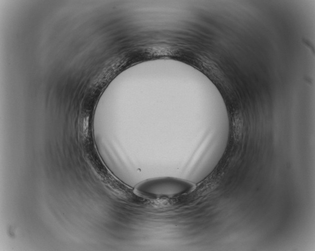 X0000102350406200808221658