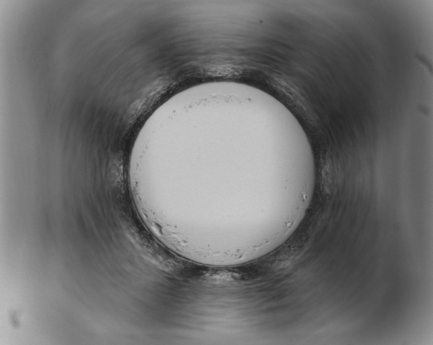 X0000102350407200808221658