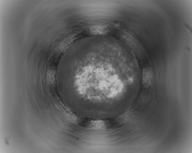 X0000102350409200808221658