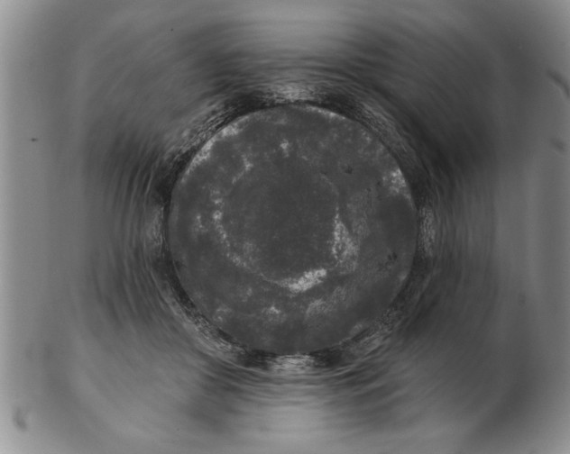 X0000102350410200808221658