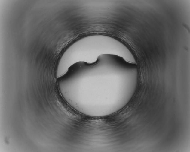 X0000102350411200808221658