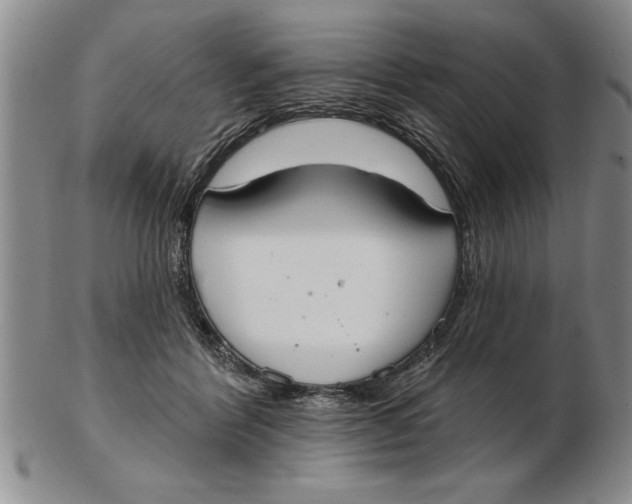 X0000102350412200808221658
