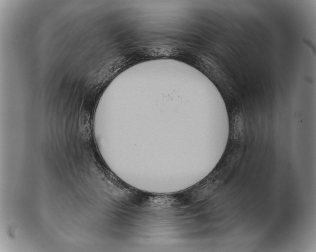 X0000102350414200808221658