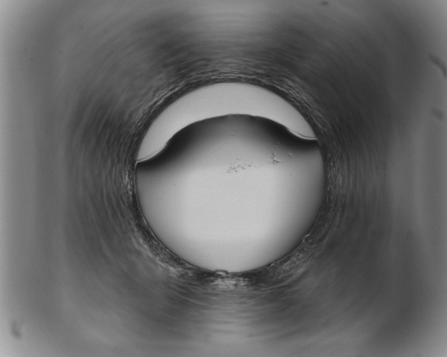 X0000102350415200808221658