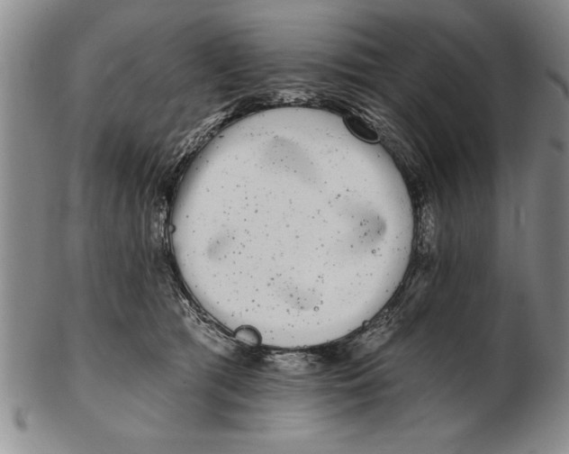 X0000102350417200808221658
