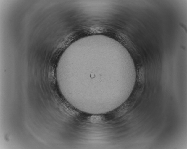 X0000102350418200808221658