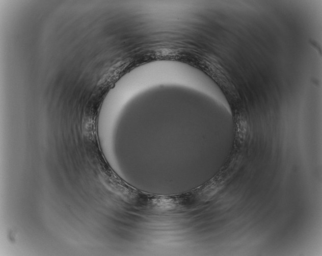 X0000102350419200808221658