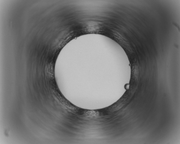 X0000102350421200808221658