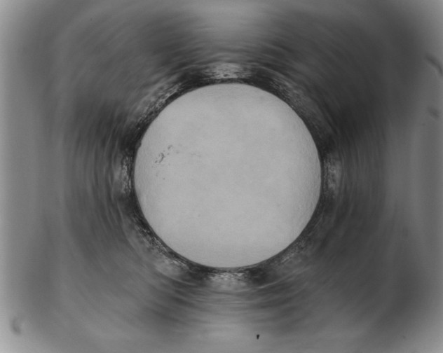 X0000102350422200808221658