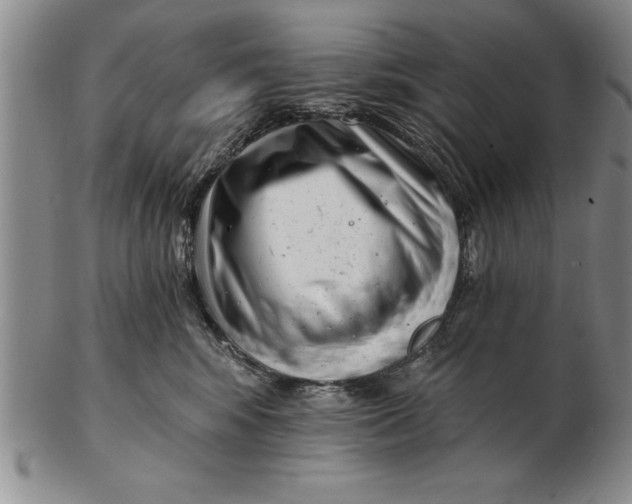 X0000102350424200808221658
