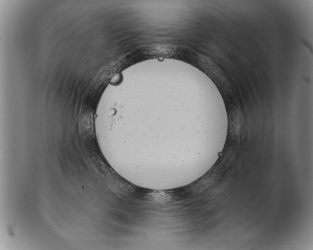 X0000102350425200808221658
