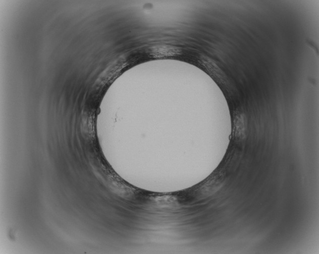 X0000102350426200808221658