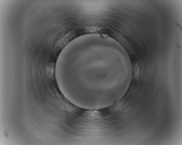 X0000102350427200808221658