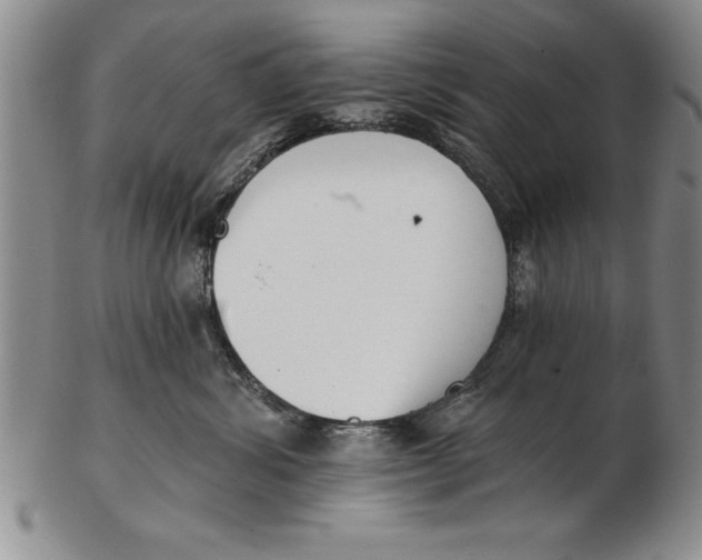 X0000102350428200808221658