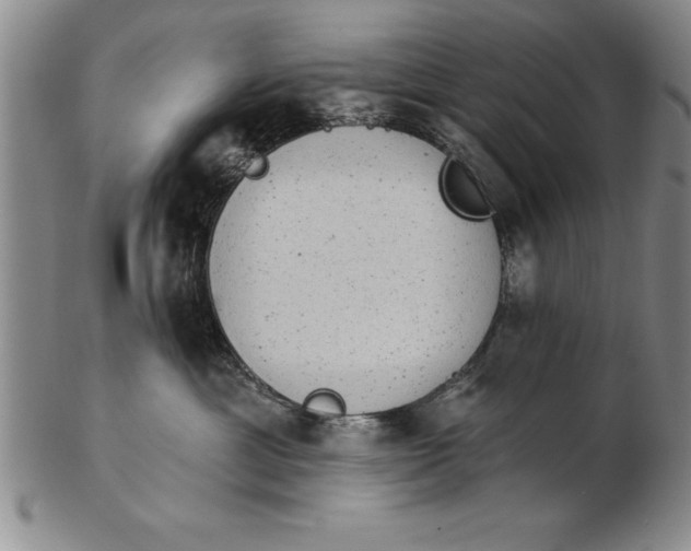 X0000102350429200808221658