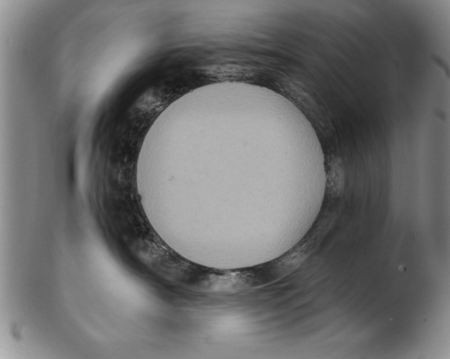 X0000102350430200808221658