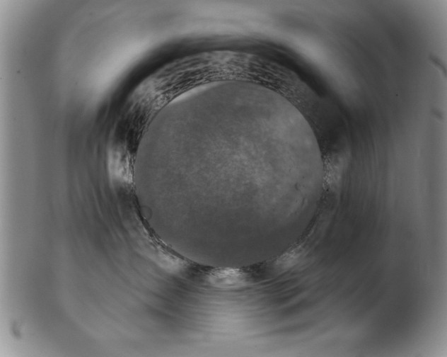 X0000102350431200808221658