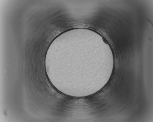 X0000102350433200808221657