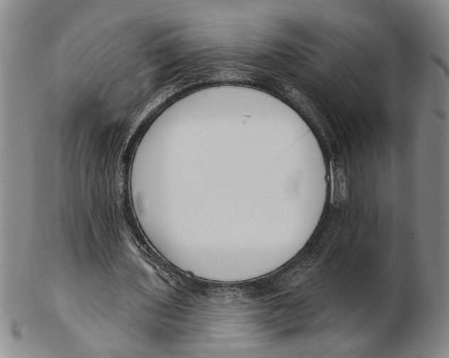 X0000102350435200808221657