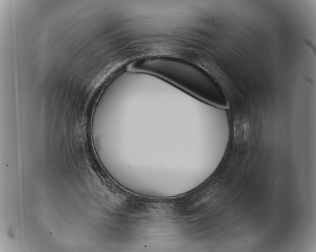 X0000102350436200808221657