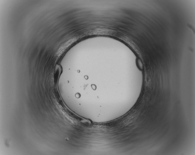 X0000102350437200808221657